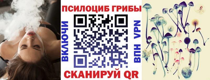 Псилоцибиновые грибы Cubensis  Первомайск 